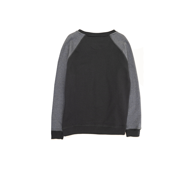 Світшот Losan Junior boys (523-6013AA/32) Темно-сірий з сірим