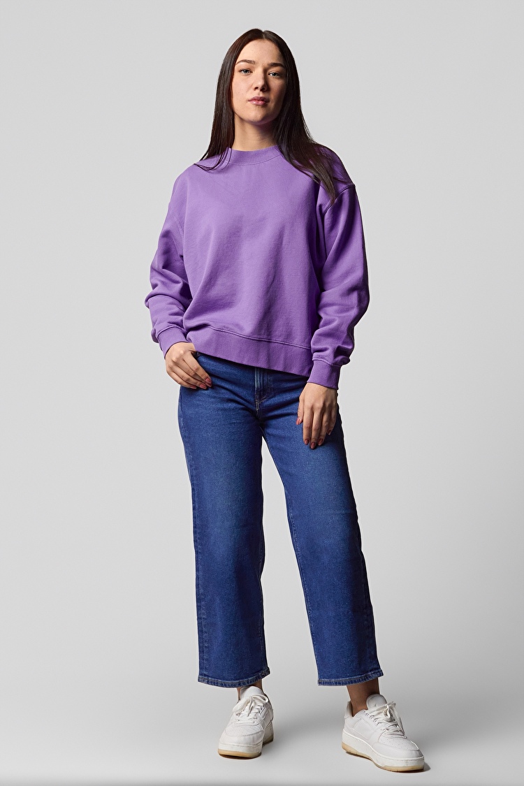 Свитшот LEE Western Sweatshirt Relaxed Fit (L53DTXTI) Фиолетовый