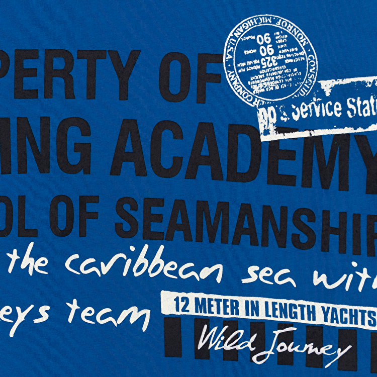 Футболка Losan Junior boys (313-1602AA/560) Синій