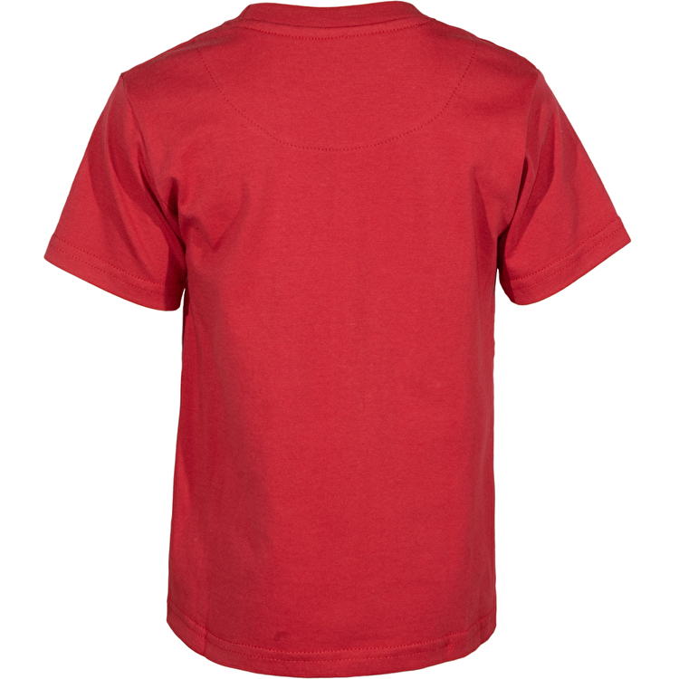 Футболка Losan Kids boys (315-1037AC/51) Червоний