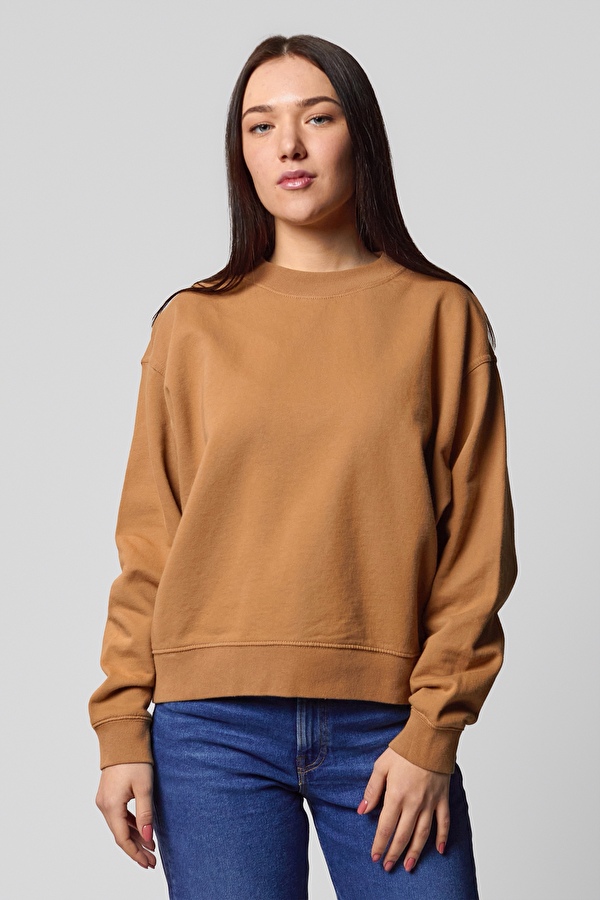 Свитшот Lee Western Sweatshirt Relaxed Fit (L53DTXSZ) Коричневый