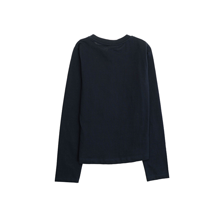 Футболка с длинным рукавом SEAPORT UBS (9811) Черный