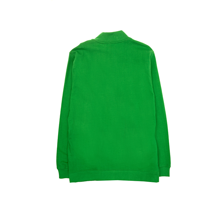 Кофта спортивная Losan Junior boys (413-6652AA/374) Зеленая трава