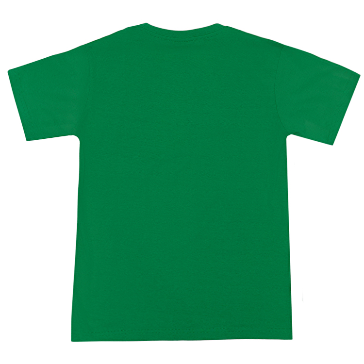 Футболка Losan Junior boys (313-1211AA/21) Зелений