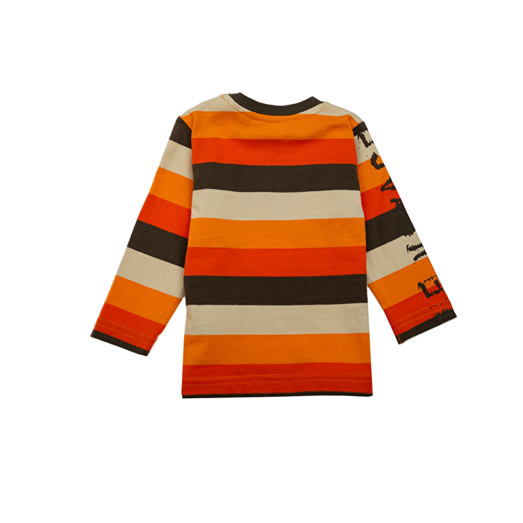 Футболка з довгим рукавом Losan Mc baby boys (027-1018AC/138) Кавовий, помаранчевий