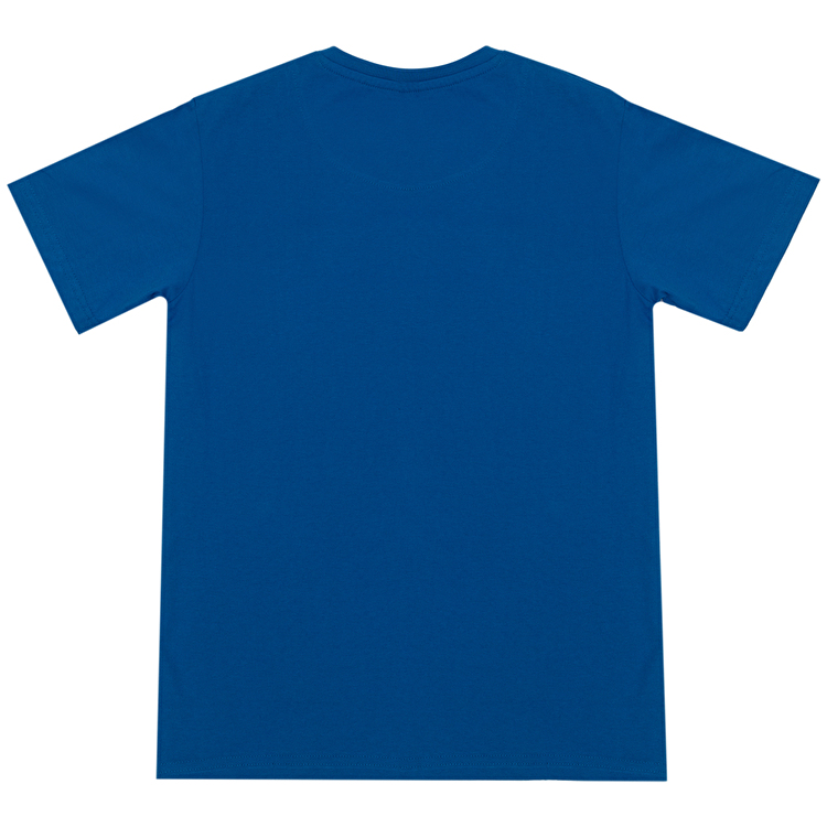 Футболка Losan Junior boys (313-1602AA/560) Синій